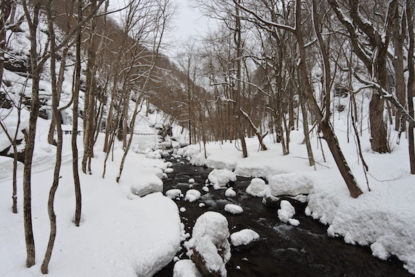 前日に雪が降ったおかげか、１日目よりも綺麗な奥入瀬渓流