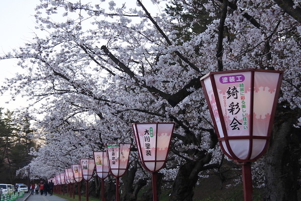 弘前城の桜、また行きたい！