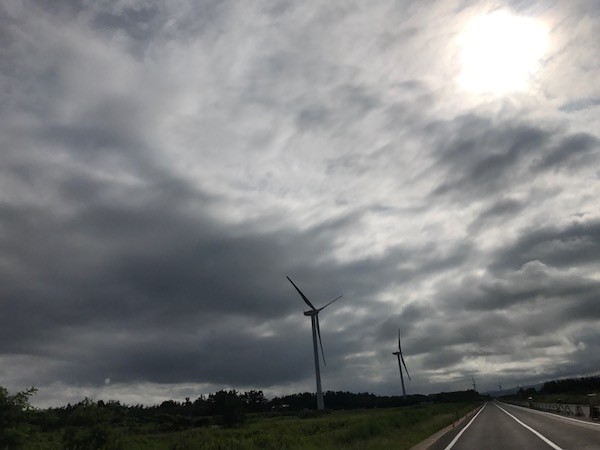 はっきりしない空ですが、その分暑さも和らいでくれる