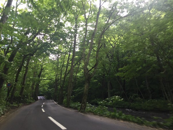 奥入瀬渓流の良さは説明不要。マイカーで行けるうちに必ず訪れておくべき