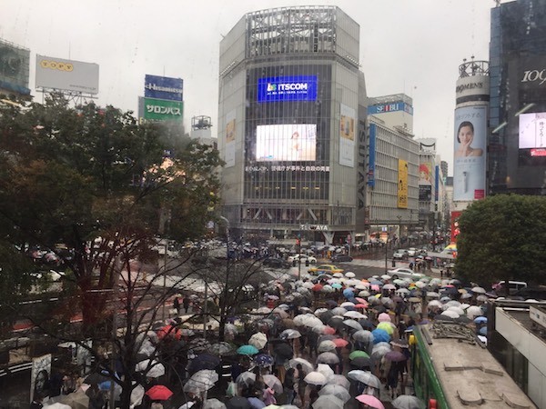 長男は東京散策　私は清里ミーティング