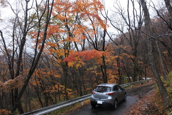 すっかり終わっていると思っていた紅葉も楽しめた