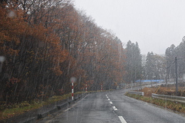突然雪が降って来た