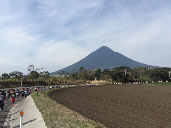 振り返ると開聞岳と綺麗な曲線を描いたランナーの列。さすがです。