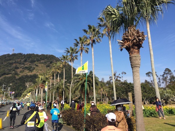 0kmを超えてからは、たくさんの応援の声が。