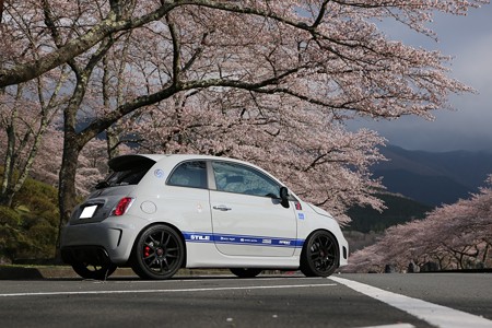 20170415富士霊園1