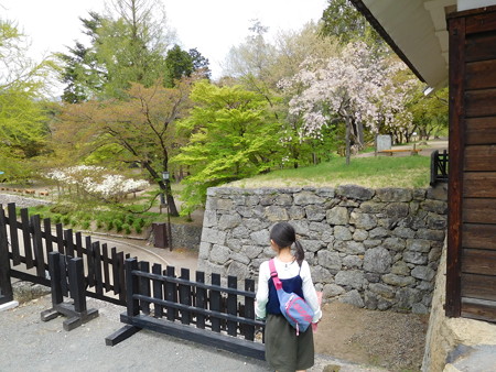 DSCN1339