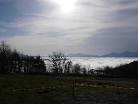 DSCN1598