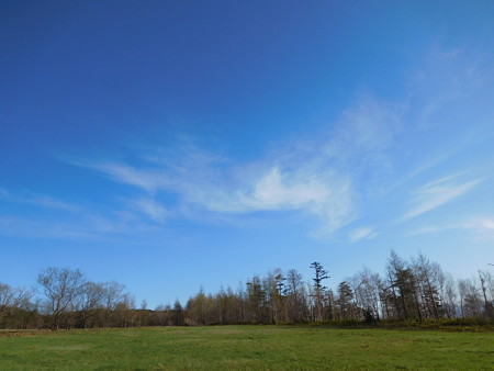 DSCN1600