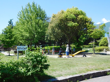 DSCN1695