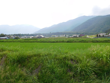 DSCN1885