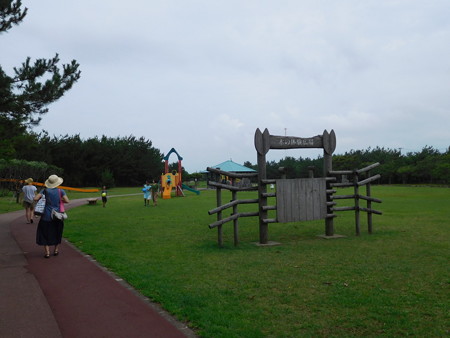 DSCN2276