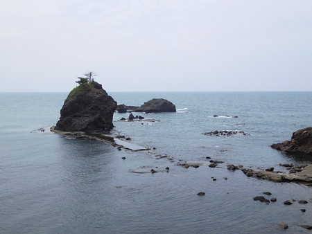 DSCN2300
