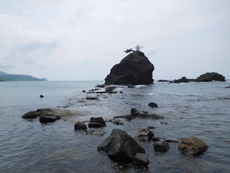 DSCN2310