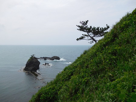 DSCN2313