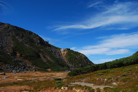 DSC_0460