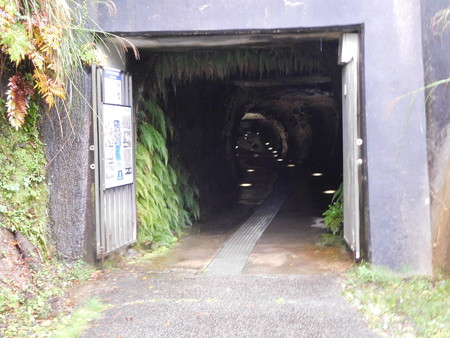 DSCN2696
