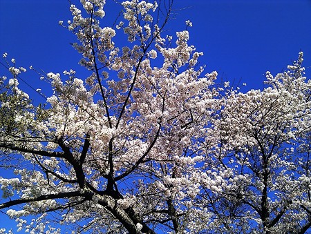IMAG1024