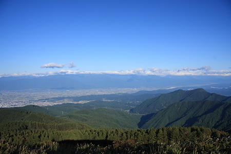 2009091313