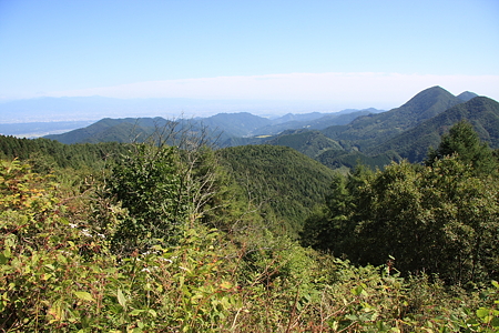 2009092055