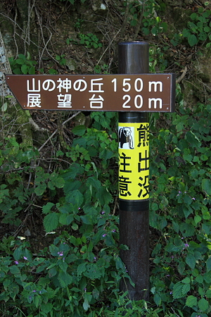 2009092069