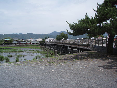 P7110362