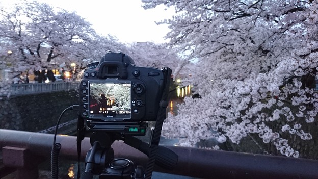 LV越しの私の世界