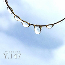 Y.147