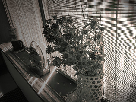P8290318