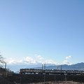 Photos: 冬枯れの甚六桜のもとを行く211系普通電車
