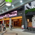 Photos: 大須商店街 万松寺（2017年7月1日） - 1：ディスプレイに蓮の花