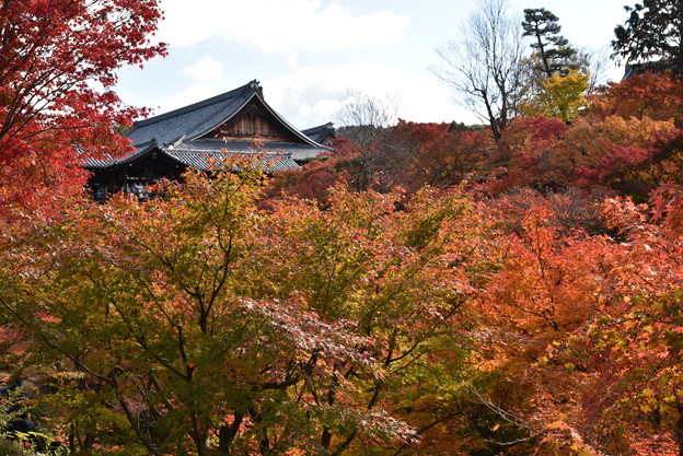 Photos: 東福寺