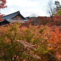 Photos: 東福寺