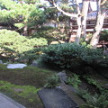 Photos: 万年青の縁庭園（左側）1