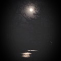 月光の野尻湖2