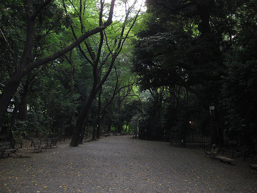 Walking on a path through woods at Yasukuni Jinja