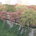 Photos: 大阪城西の丸庭園の紅葉