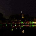 Photos: 奈良燈花会 (2)・猿沢池