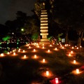 Photos: 奈良燈花会 (4)・猿沢池