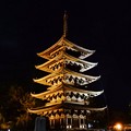 Photos: 奈良燈花会 (5)・興福寺五重塔
