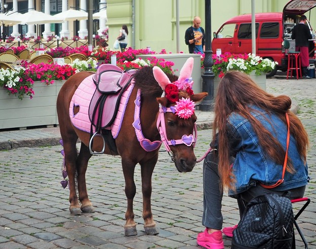 Photos: オデッサのポニー  Pony in Odessa,Ukraine