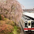 枝垂れ桜とツツジ咲く東武日光駅