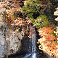 黄葉と滝