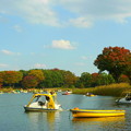 Photos: ボート池のまわりも秋の色♪
