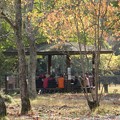 Photos: 森林公園旧山友とその仲間報告会