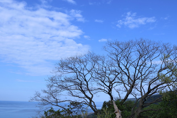 日本海(富山湾）と青空